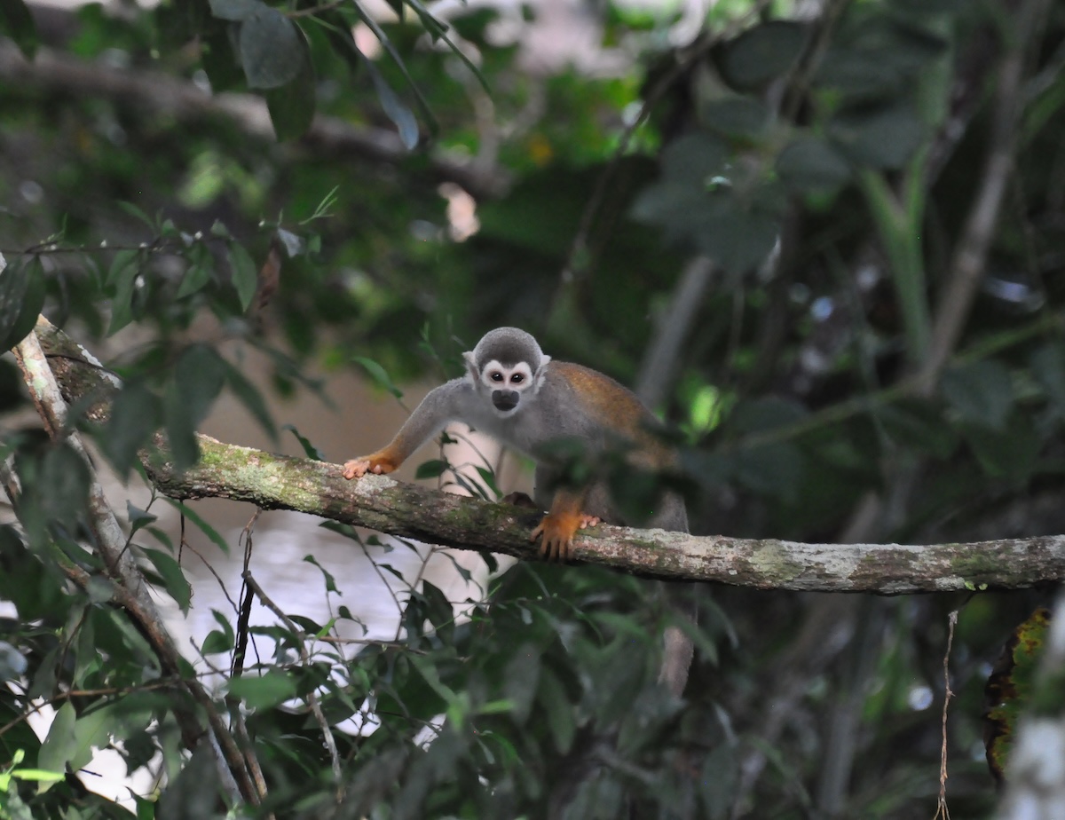 La Selva Eco-Lodge & Retreat