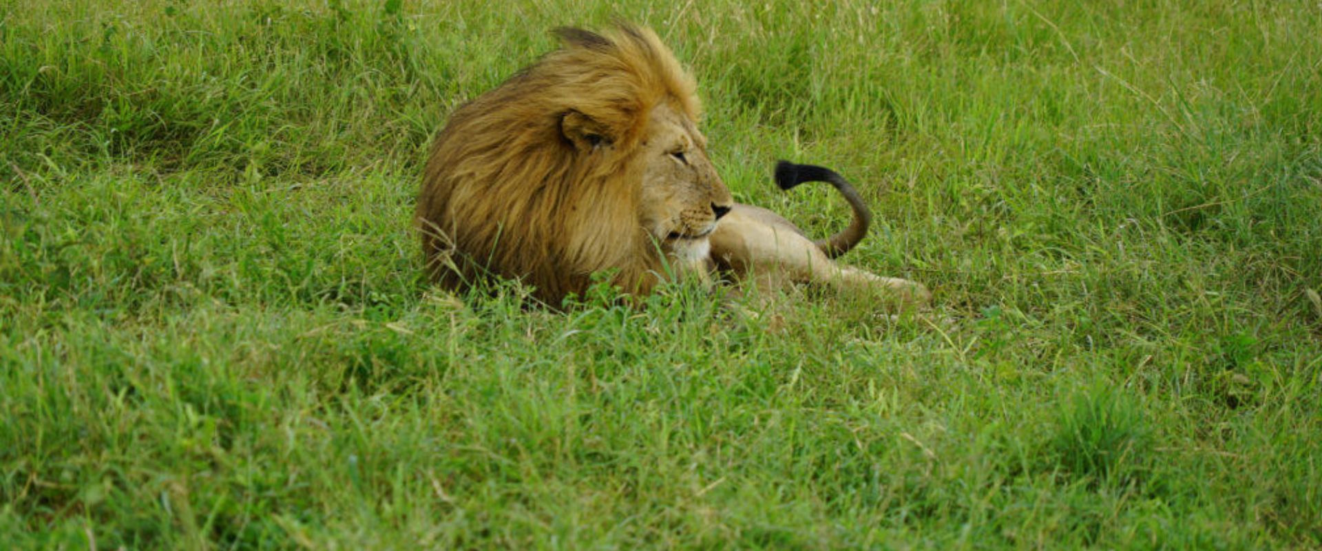 Tanzania