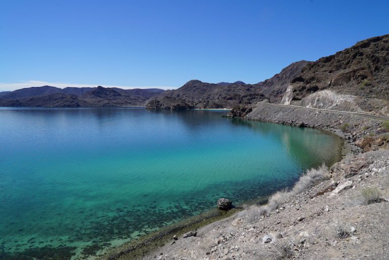 Bahía De Magdalena México Hype Tv 1295