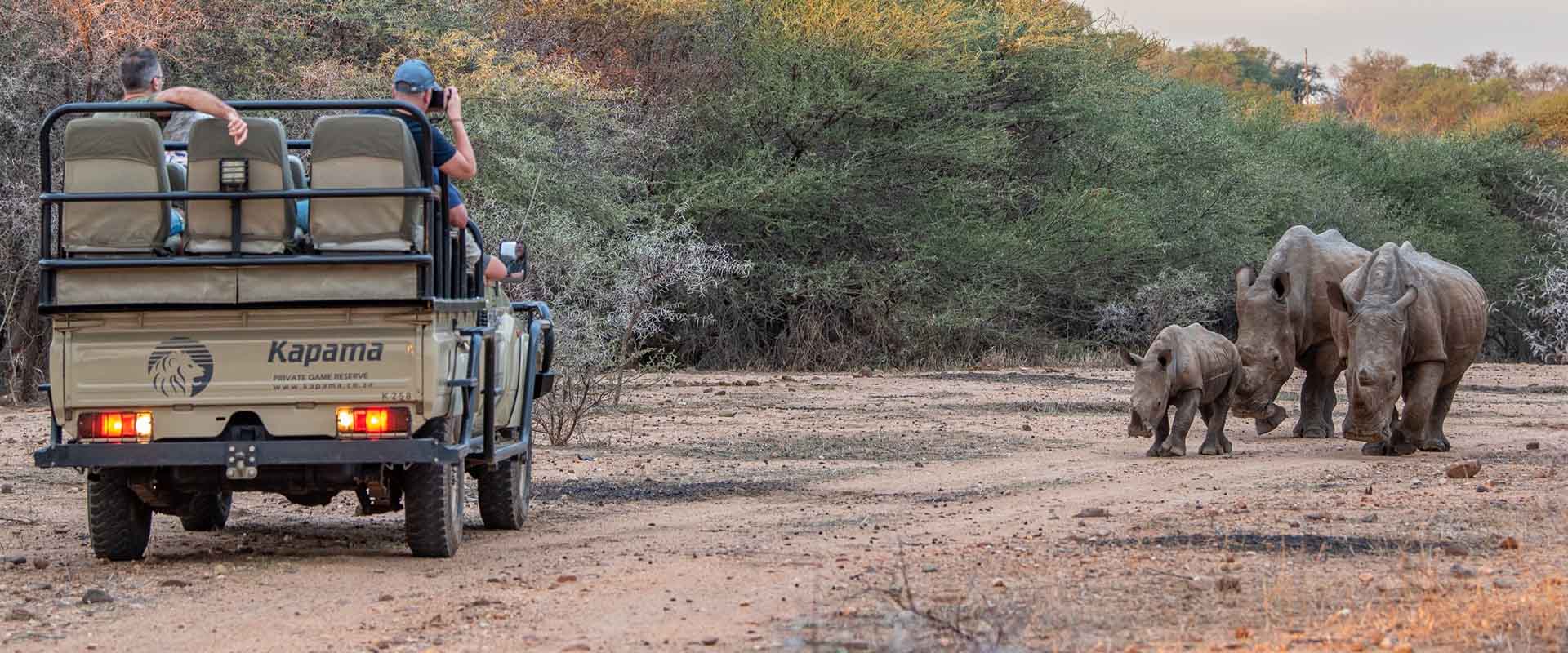 Kapama Private Game Reserve