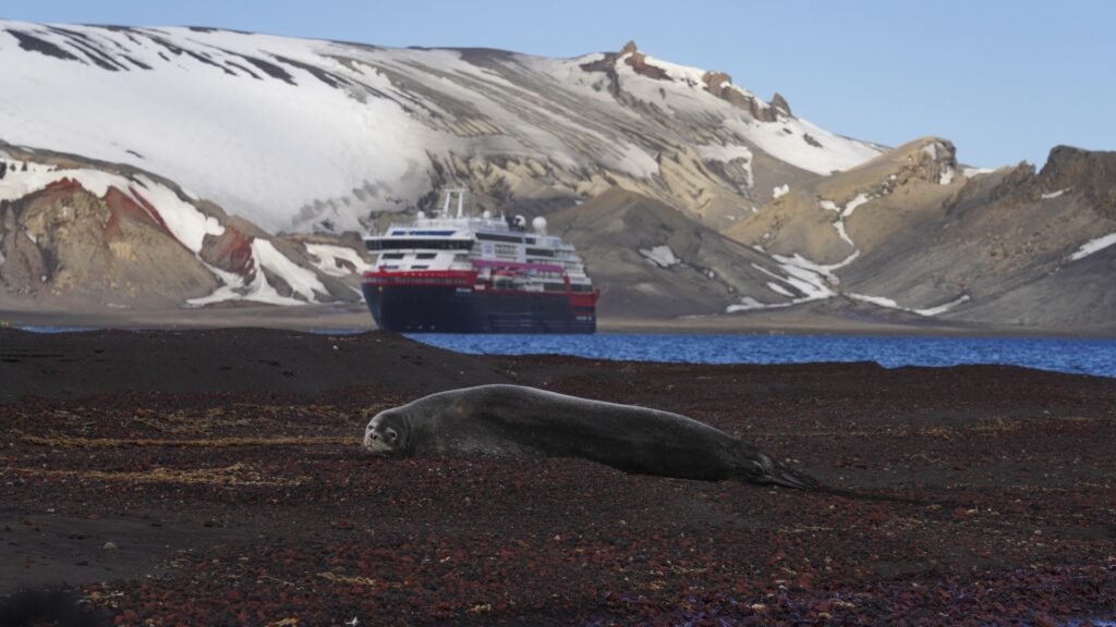 Explora la Antártida con Hurtigruten | Los Mejores Cruceros para una Aventura Inolvidable