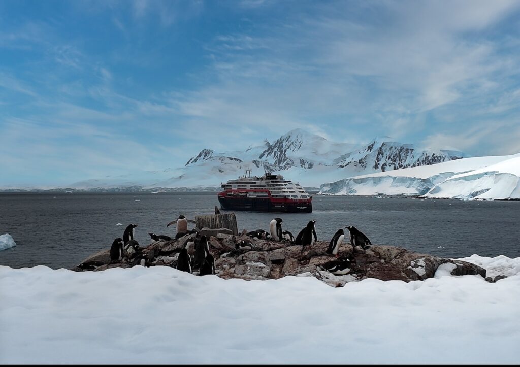 Explora la Antártida con Hurtigruten | Los Mejores Cruceros para una Aventura Inolvidable