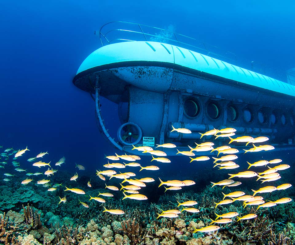 Atlantis Submarine Adventure, Cosas que hacer en Isla Grande de Hawai