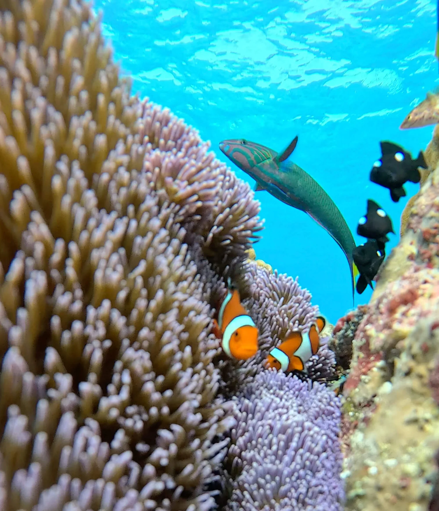Okinawa Hontō | Guía Para Explorar la Isla Principal de Okinawa